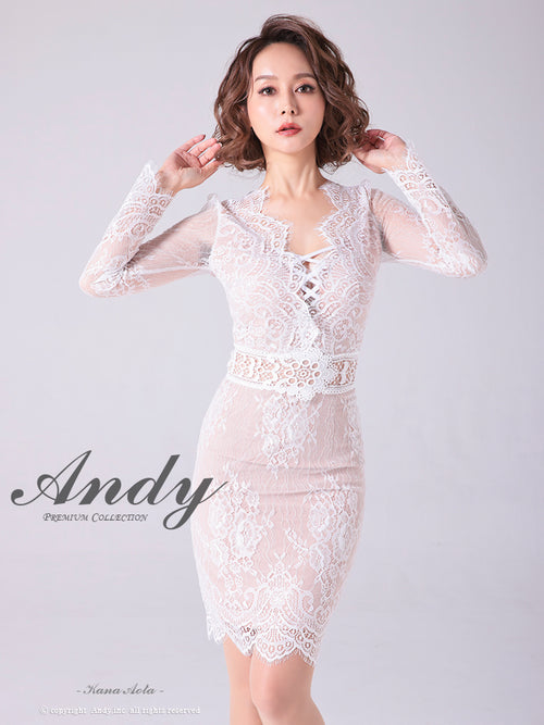 Andy/AN-OK2673/ワンピース/ミニドレス/ワンカラー/タイトワンピース/総レース/袖あり/長袖ワンピース