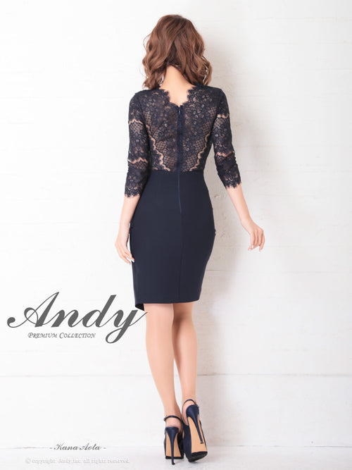 Andy/AN-OK2685/ワンピース/ミニドレス/タイトワンピース/アクセサリー付き/袖あり/レース/ワンカラー