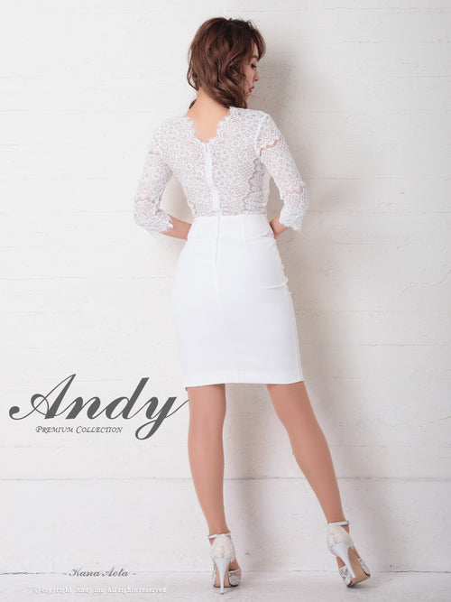 Andy/AN-OK2685/ワンピース/ミニドレス/タイトワンピース/アクセサリー付き/袖あり/レース/ワンカラー