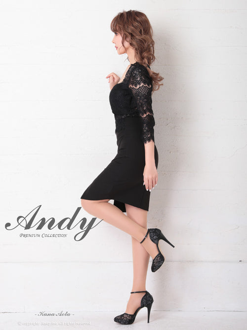 Andy/AN-OK2685/ワンピース/ミニドレス/タイトワンピース/アクセサリー付き/袖あり/レース/ワンカラー