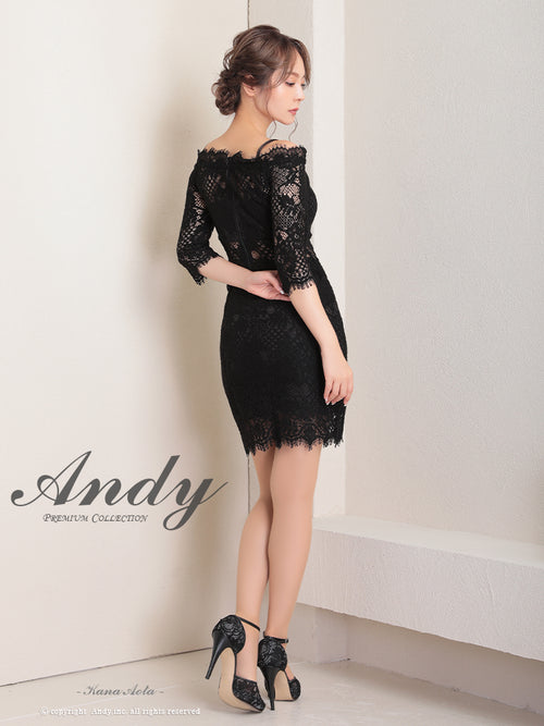 Andy/AN-ON2766/セットアップ/ミニドレス/ワンカラー/タイトワンピース/総レース/袖あり/両袖