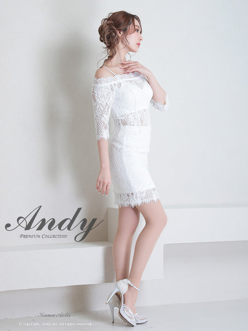Andy/AN-ON2766/セットアップ/ミニドレス/ワンカラー/タイトワンピース/総レース/袖あり/両袖