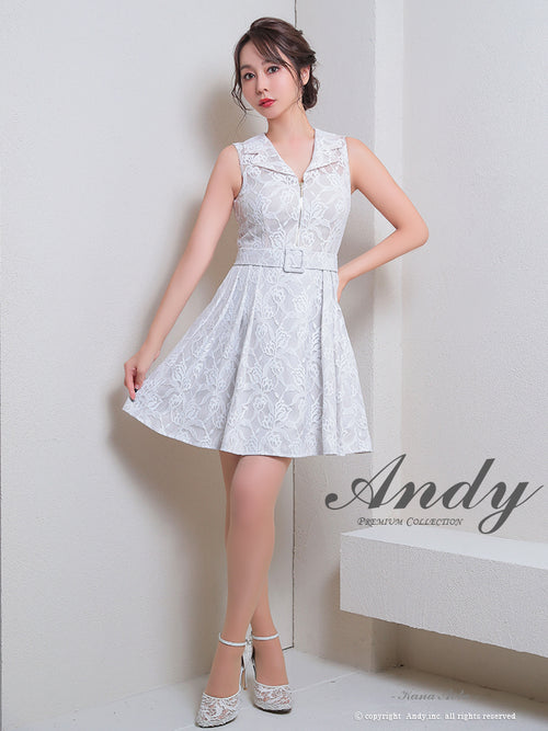 Andy/AN-ON2820/ワンピース/ミニドレス/ワンカラー/総レース/ベルト風ワンピース/キャバドレス