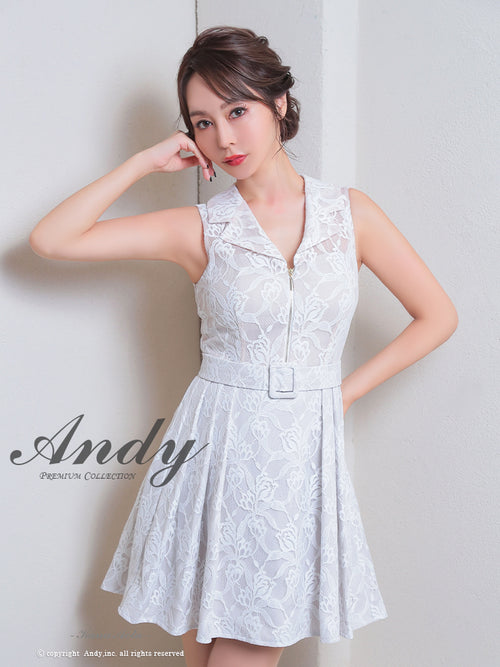 Andy/AN-ON2820/ワンピース/ミニドレス/ワンカラー/総レース/ベルト風ワンピース/キャバドレス