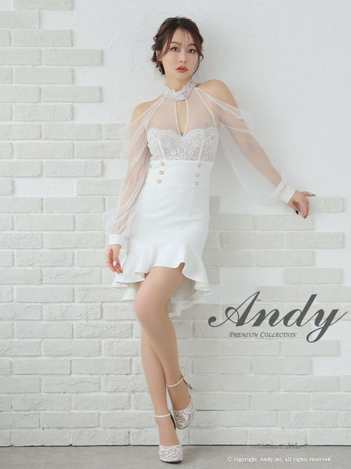 Andy/AN-ON2826/ワンピース/ミニドレス/キャバドレス/シアー/レース/ マーメイド/フリル/パールボタン/袖あり/長袖