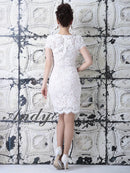 Andy/AN-OK2147/ワンピース/ミニドレス/キャバドレス/総レース/袖あり/ベルトデザイン/タイト