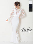 Andy/AN-OK2825/ワンピース/ロングドレス/キャバドレス/切り替え/袖あり/長袖/マーメイド/シアー