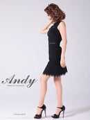 Andy/AN-OK2682/ワンピース/ミニドレス/ワンカラー/タイトワンピース/カラードレス/シンプルドレス