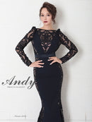 Andy/AN-OK2825/ワンピース/ロングドレス/キャバドレス/切り替え/袖あり/長袖/マーメイド/シアー