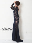 Andy/AN-OK2825/ワンピース/ロングドレス/キャバドレス/切り替え/袖あり/長袖/マーメイド/シアー