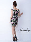 Andy/AN-OK1591/ワンピース/ミニドレス/タイトドレス/フラワープリント