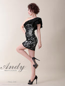 Andy|AN-OK1763/ワンピース/ミニドレス/総レース/フリル/ワンショルダー