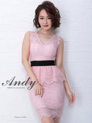 [ワンピースドレス]Andy|AN-OK1883