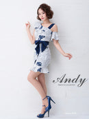 AN-OK1956/Andy/ナイトドレス/キャバドレス/ドレス/ワンピース/ミニ/パーティドレス