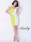 Andy/AN-OK1999/ワンピース/ミニドレス/タイトワンピース/花柄プリント/ツートンカラー