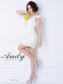 Andy/AN-OK1999/ワンピース/ミニドレス/タイトワンピース/花柄プリント/ツートンカラー