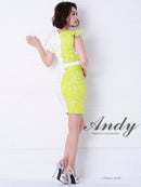 Andy/AN-OK1999/ワンピース/ミニドレス/タイトワンピース/花柄プリント/ツートンカラー