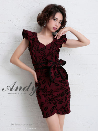 AN-OK2065/リボンベルト/刺繡ドレス/ワンピース/タイトドレス/ワンピース/ドレス/ミニドレス