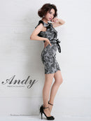 AN-OK2065/リボンベルト/刺繡ドレス/ワンピース/タイトドレス/ワンピース/ドレス/ミニドレス