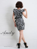 AN-OK2065/リボンベルト/刺繡ドレス/ワンピース/タイトドレス/ワンピース/ドレス/ミニドレス