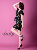 Andy/AN-OK2161/ワンピース/ミニドレス/タイトワンピース/リウエストリボン/刺繍柄
