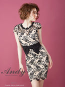 Andy/AN-OK2229/ワンピース/ミニドレス/総レース/ウエストリボン