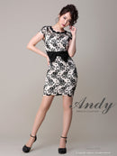 Andy/AN-OK2229/ワンピース/ミニドレス/総レース/ウエストリボン