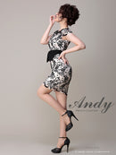 Andy/AN-OK2229/ワンピース/ミニドレス/総レース/ウエストリボン