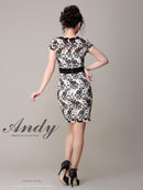 Andy/AN-OK2229/ワンピース/ミニドレス/総レース/ウエストリボン