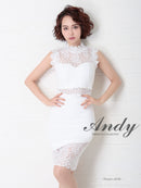Andy/アンディ/ナイトドレス/キャバドレス/ドレス/ミニドレス/AN-OK2300