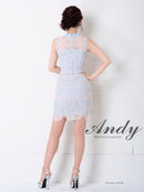 Andy|AN-OK2308/ワンピース/ミニドレス/レース