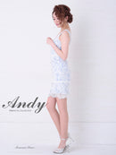 AN-OK2331/Andy/ナイトドレス/キャバドレス/ドレス/ワンピース/ミニドレス/レース