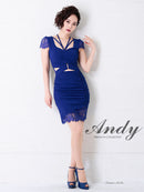 [ワンピースドレス]Andy|AN-OK2353