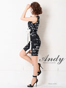 [ワンピースドレス]Andy|AN-OK2363
