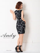 [ワンピースドレス]Andy|AN-OK2363