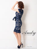 [ワンピースドレス]Andy| AN-OK2365