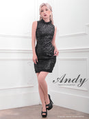 [ワンピースドレス]Andy|AN-OK2455