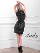 [ワンピースドレス]Andy|AN-OK2455