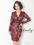 Andy/AN-OK2482/ナイトドレス/キャバドレス/ドレス/ミニドレス/総レース