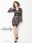 Andy/AN-OK2482/ナイトドレス/キャバドレス/ドレス/ミニドレス/総レース