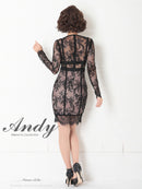 Andy/AN-OK2482/ナイトドレス/キャバドレス/ドレス/ミニドレス/総レース