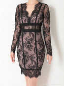 Andy/AN-OK2482/ナイトドレス/キャバドレス/ドレス/ミニドレス/総レース