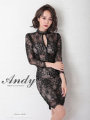 Andy/AN-OK2628/ワンピース/ミニドレス/総レース/タイトワンピース/ウエストリボン