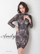 Andy/AN-OK2628/ワンピース/ミニドレス/総レース/タイトワンピース/ウエストリボン