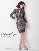 Andy/AN-OK2628/ワンピース/ミニドレス/総レース/タイトワンピース/ウエストリボン