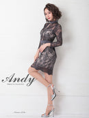 Andy/AN-OK2628/ワンピース/ミニドレス/総レース/タイトワンピース/ウエストリボン