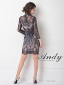Andy/AN-OK2628/ワンピース/ミニドレス/総レース/タイトワンピース/ウエストリボン