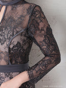 Andy/AN-OK2628/ワンピース/ミニドレス/総レース/タイトワンピース/ウエストリボン