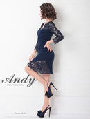 Andy/AN-OK2629/ワンピース/キャバドレス/キャバ嬢/ミニドレス/総レース/袖あり