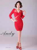 Andy/AN-OK2700/ワンピース/ミニドレス/シースルー/チュール/袖あり